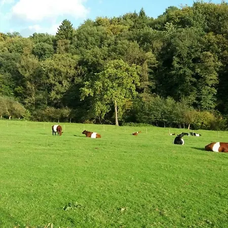 De Biesenberg Ulestraten