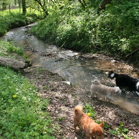 De Biesenberg Сasa de vacaciones